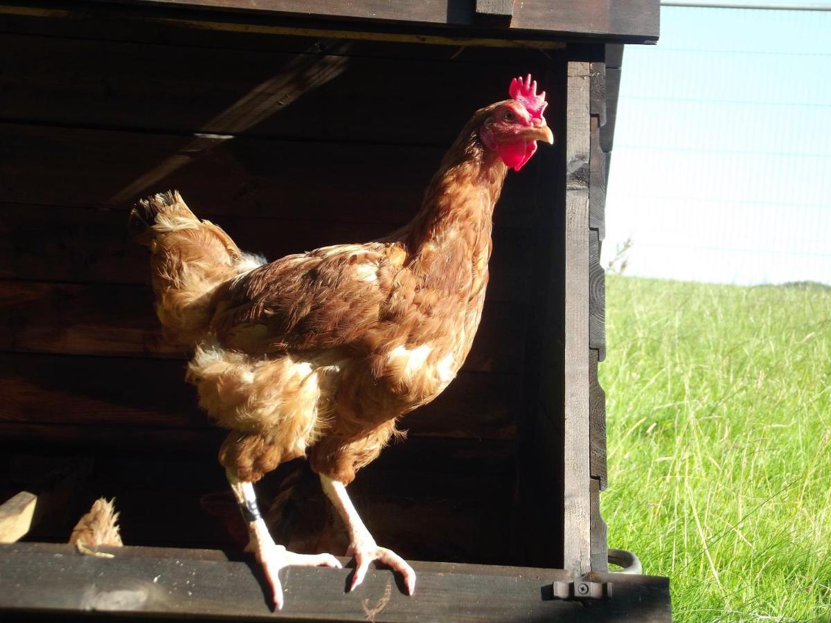 Deepaller Farm ティバートン エクステリア 写真