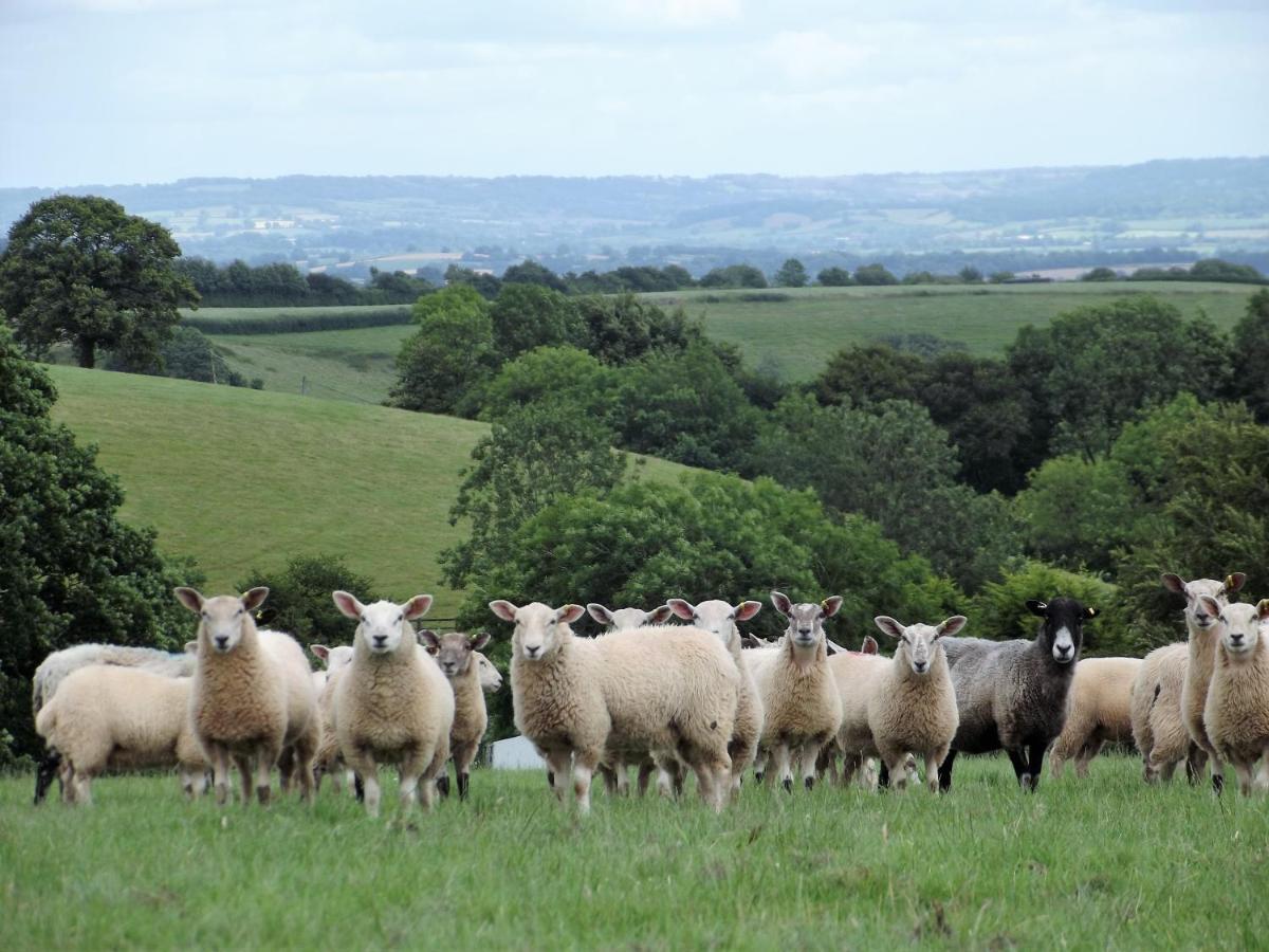 Deepaller Farm ティバートン エクステリア 写真